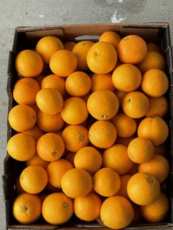 Oranges