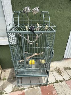 Bird Cage