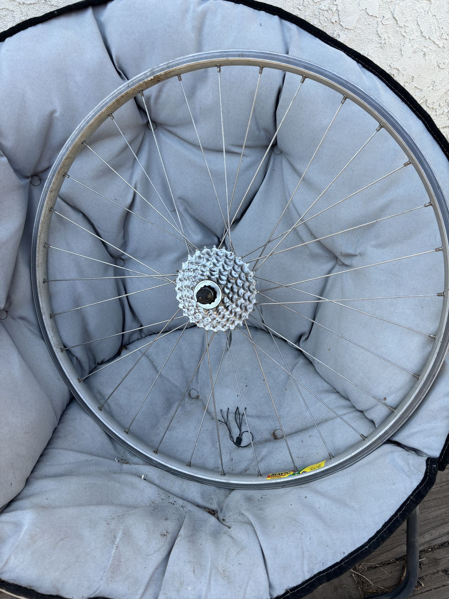 Vintage Bike Wheel 