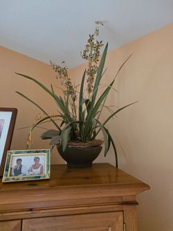Free decorative fake plant