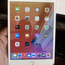 iPad Mini 4 Cellular Cracked Screen Unlocked