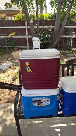 30QT Purple and green igloo ice chest