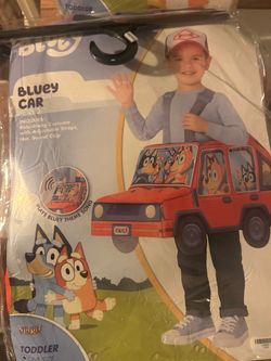 Bluey car ride along costume
