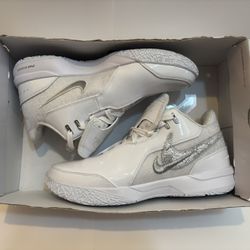 ZM LEBRON NXXT GEN AMPD SHOES