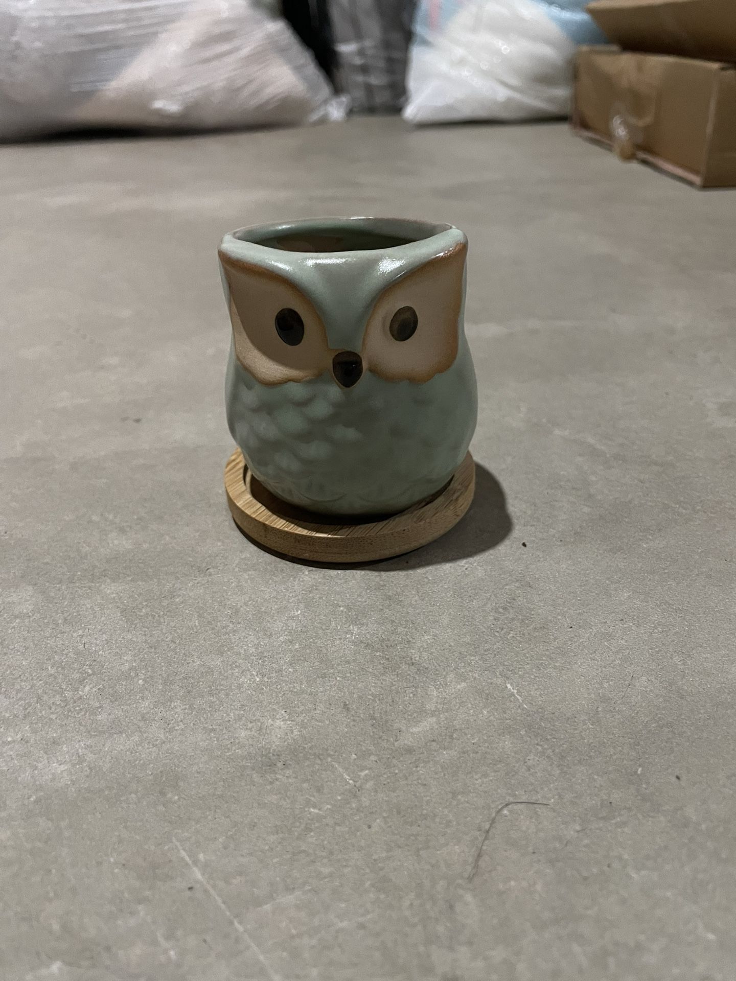 Small Owl Succulent Pot