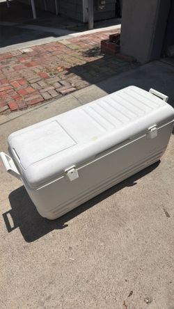Large igloo cooler