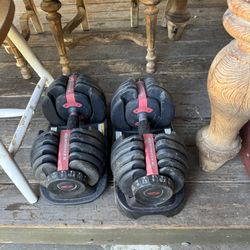 Dumbbell Weights
