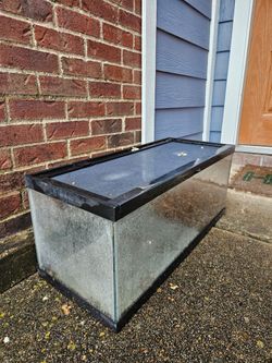 20 gallon long aquarium / tank / terrarium