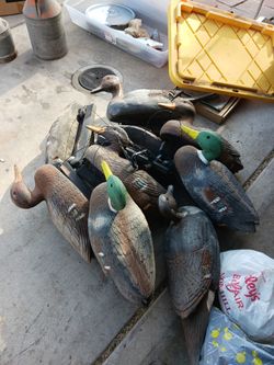 9 Large Hunting Duck Decoy
