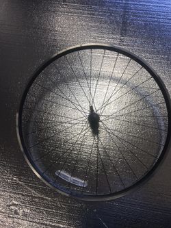 Front rim