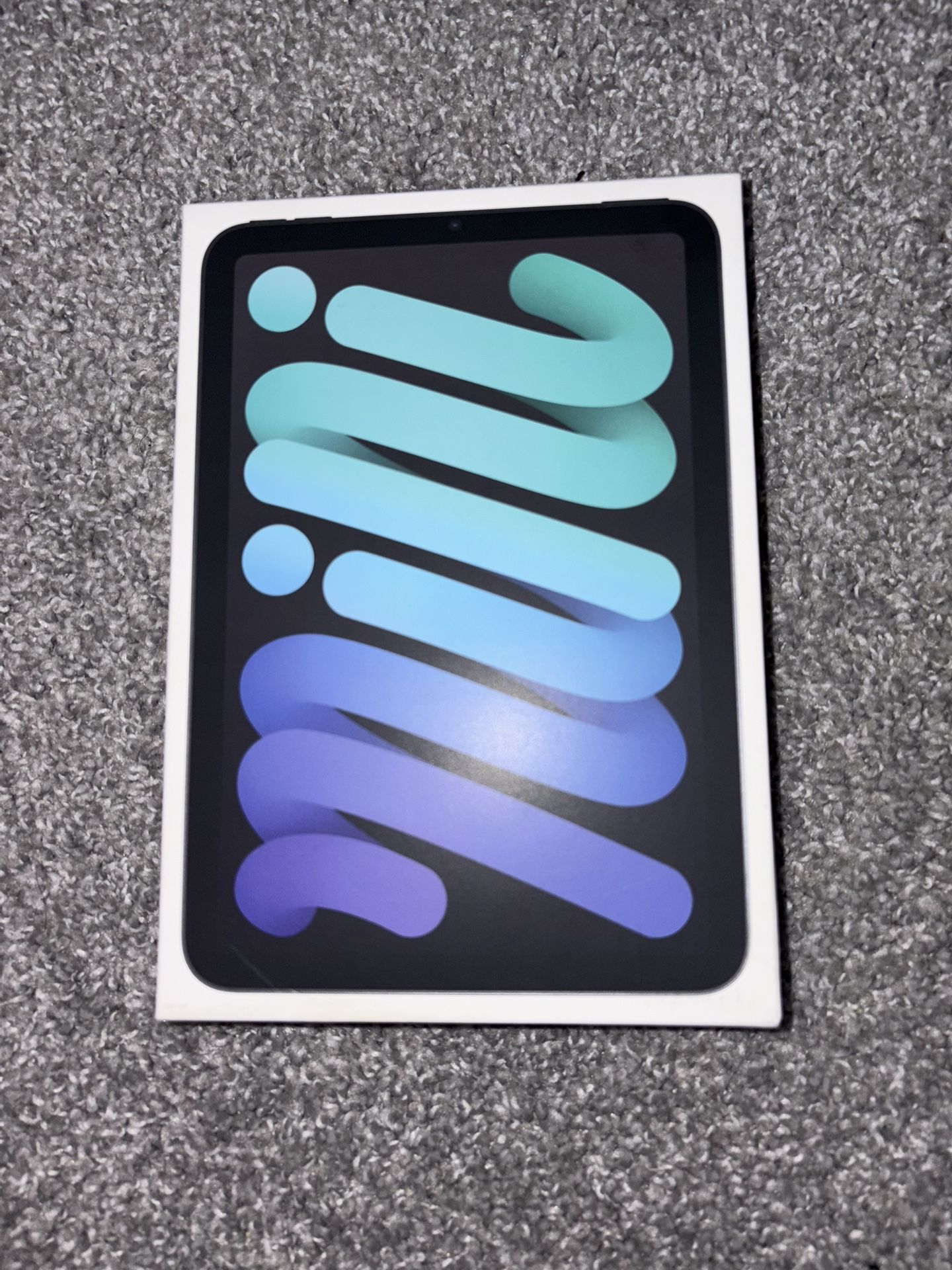 iPad Mini