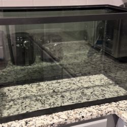 10 Gallon Glowfish Tank