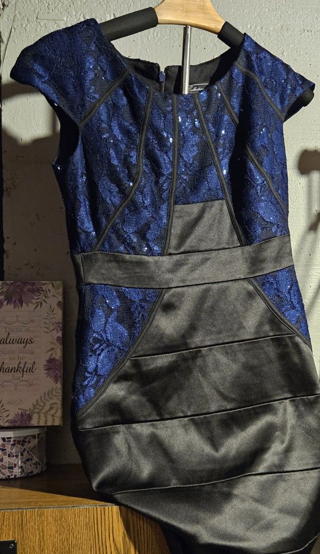 Dressbarn Stylish blue sequin dress (sz 4) 