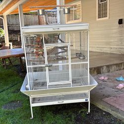 Parrot Cage