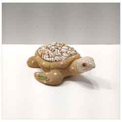 'Seashell  Turtle'  Keepsake Box from Huatulco, Mexico - 5.5" long
