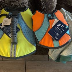 Dog Swimming Vest And Dog Reflection 