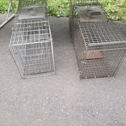 Lg Animal Traps