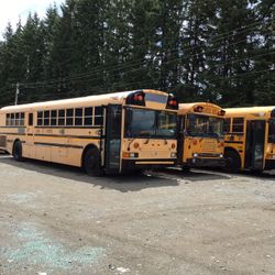 BlueBird Bus