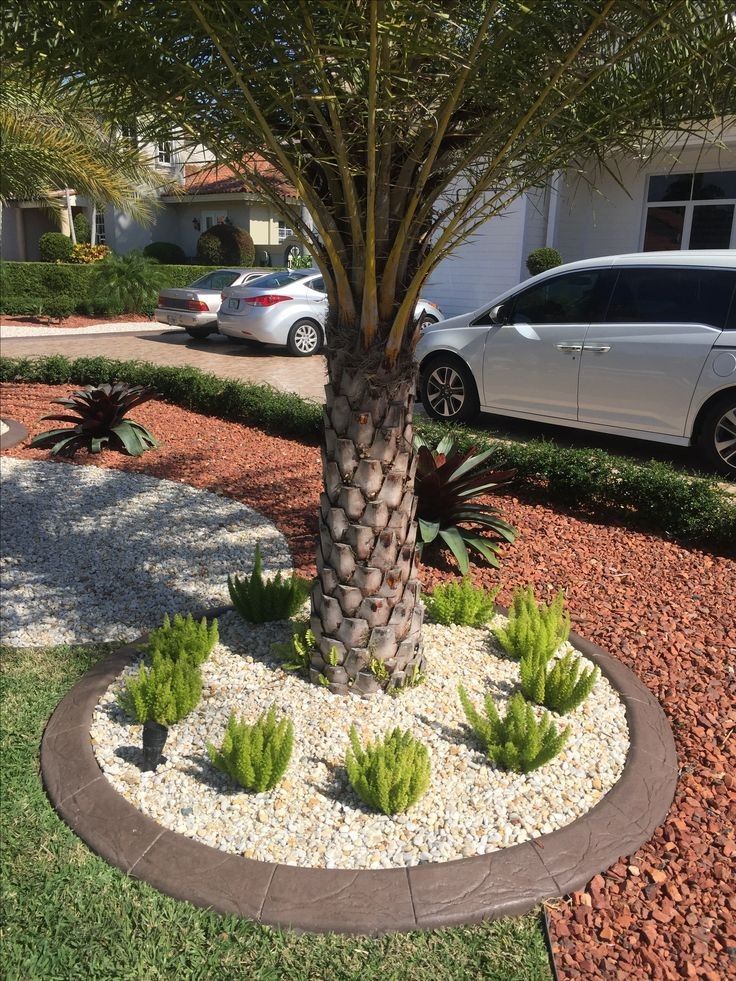 Foxtail Ferns, Bromeliads & More