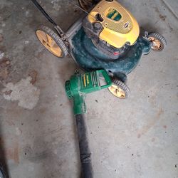 Mower and electric blower