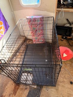 Large Wire Dog Crate with Tray
