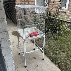 Jaula Para Pájaros / Bird Cage