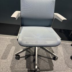 Office Chairs 