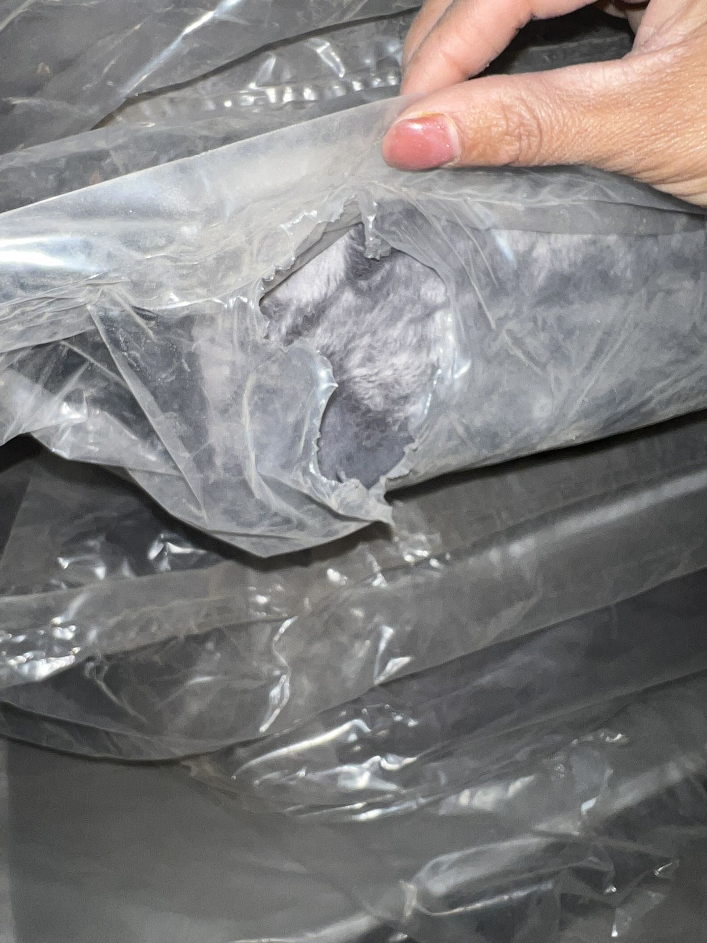 RV’s & Trailers Mattresses New 