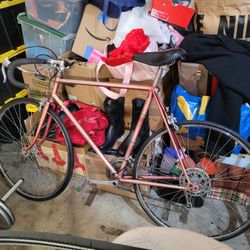 Vintage Schwinn World Sport 10 Speed "22