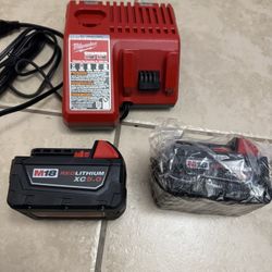 5.0Ah 2 Battery and 1Charger Milwaukee  original