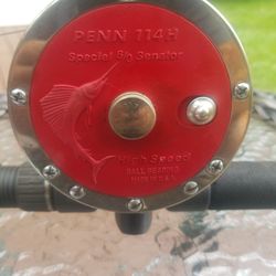 Penn Senator 6/0 On Custom Pole