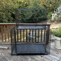 Medium Dog Kennels Available 