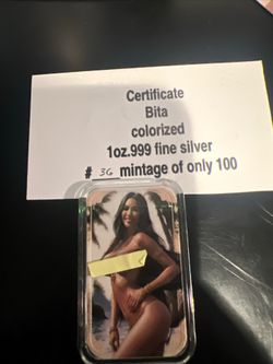 1 Ounce Silver Bar Naughty