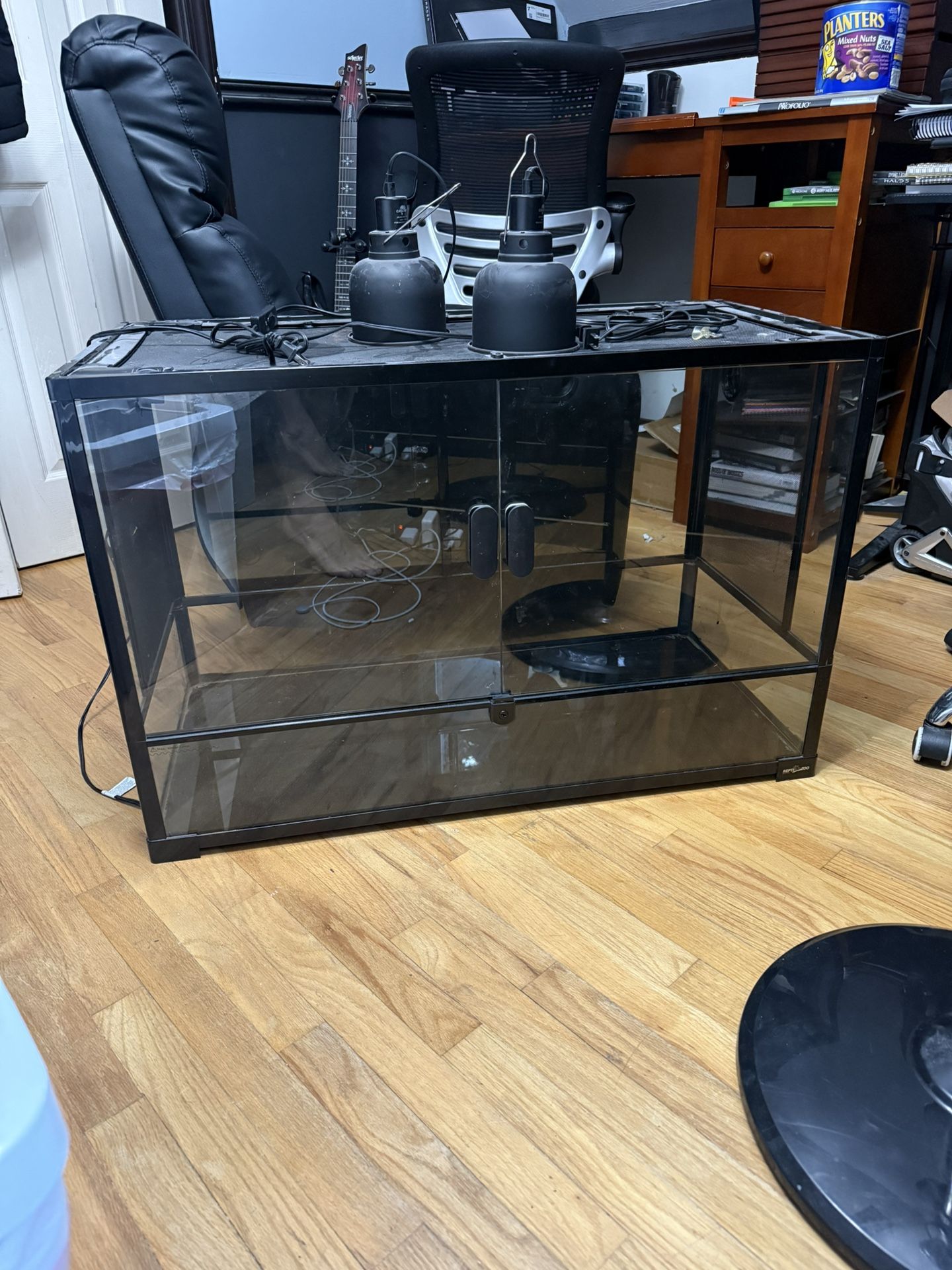 T-Rex 36x18x24 Double Door Terrarium