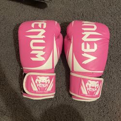 Venum Boxing Gloves 10oz
