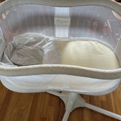 Bassinet - Halo