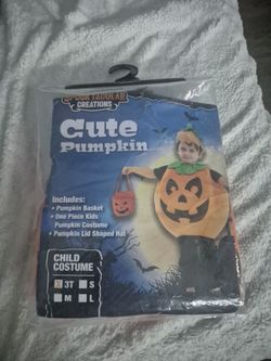 Cute Pumpkin Costume