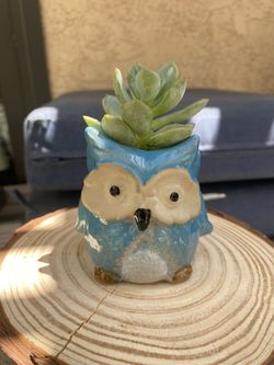 Owl Planter 