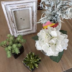 Decor Items: Plant Pictures, Fake Plants, Frame 