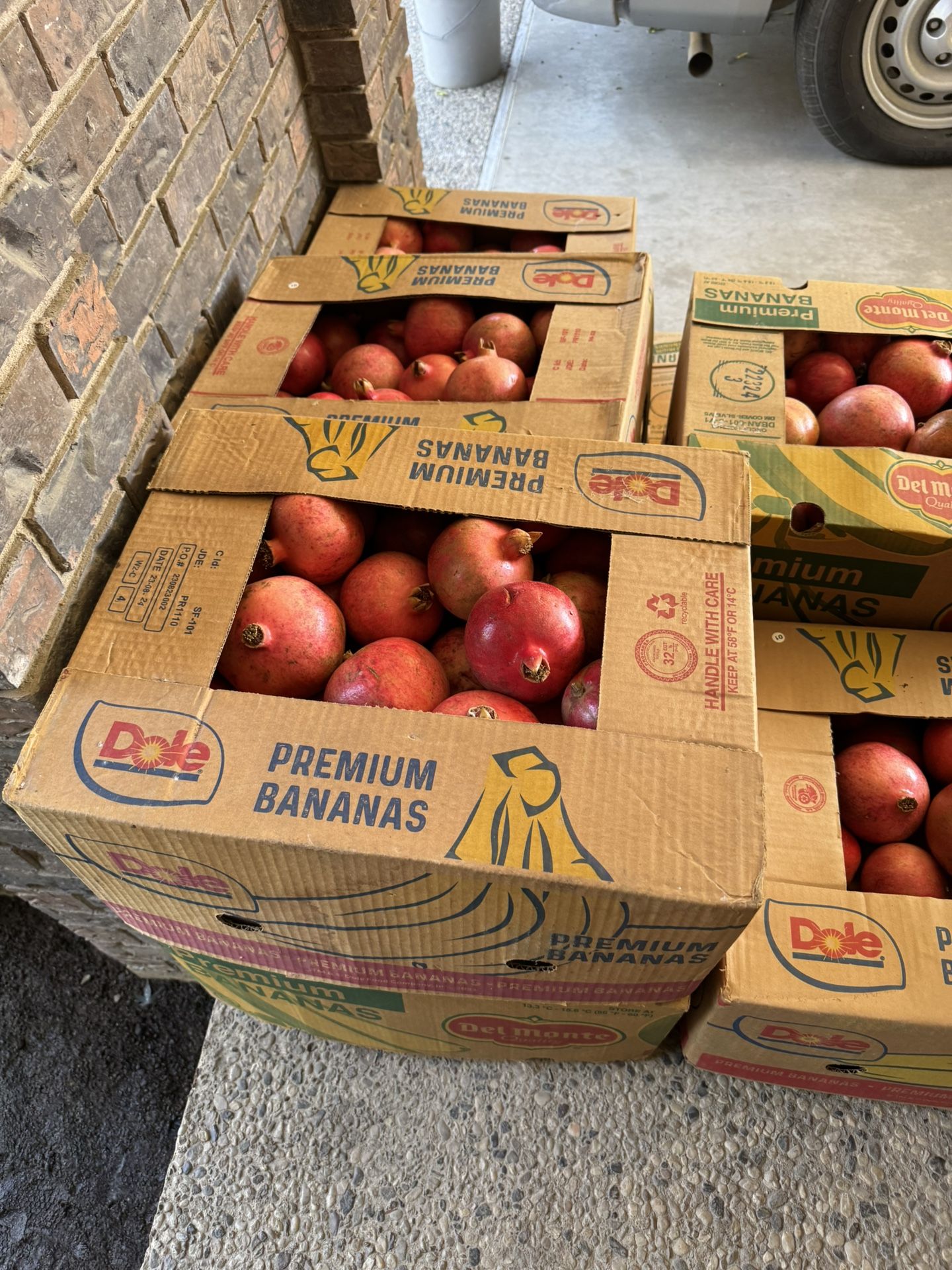 Pomegranates