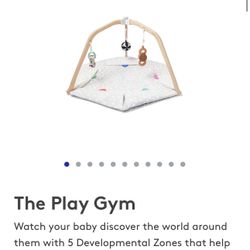 The Play Gym