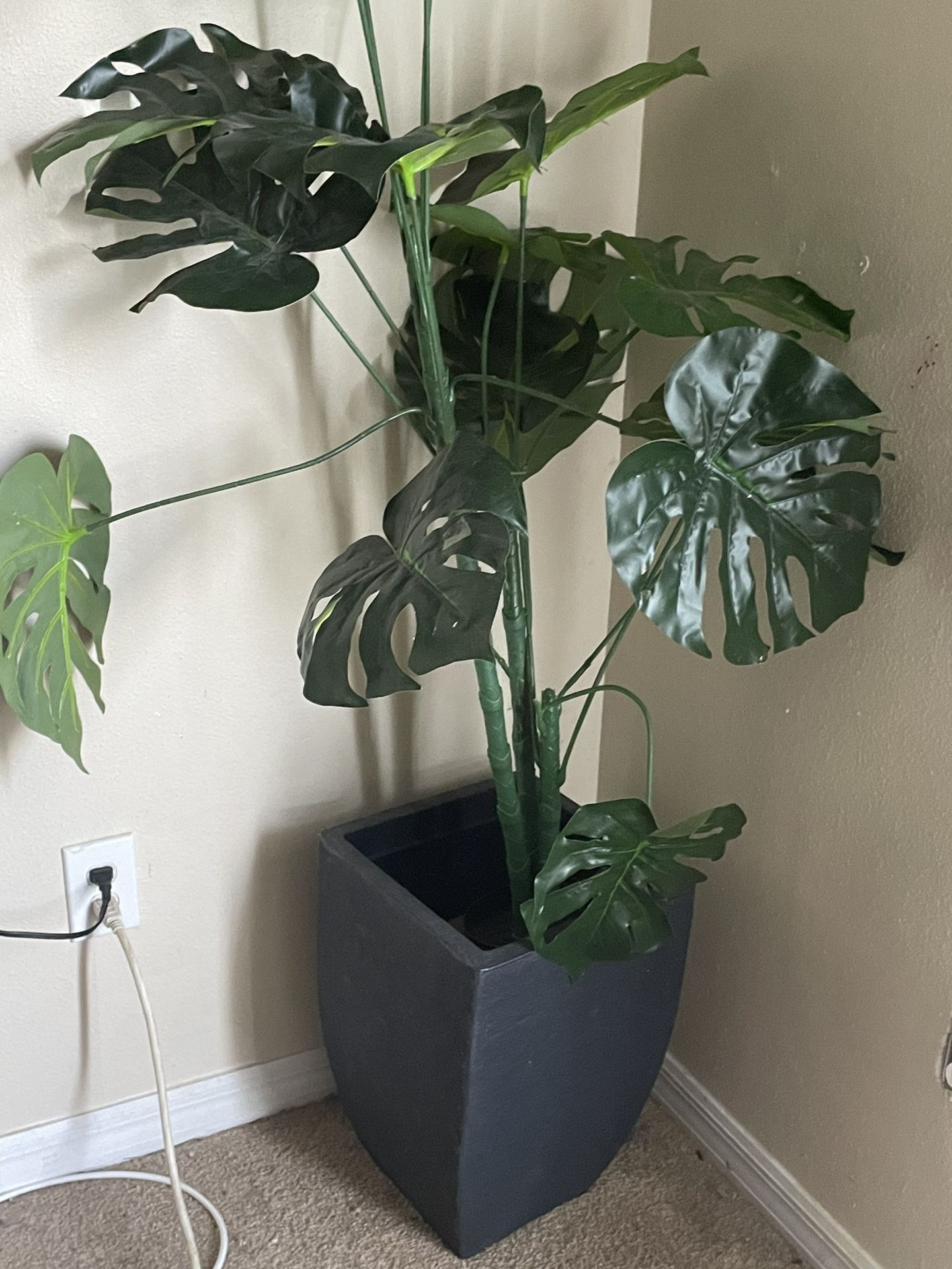 Plant Pot And Plant