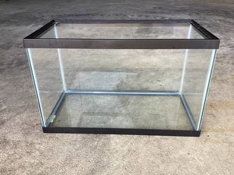 10 gallon tank