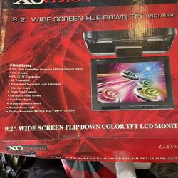 Flip Down Monitor