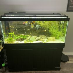 75 Gallon Aquarium and Stand With Accessories