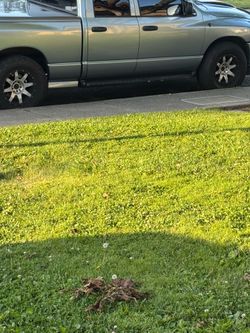 Rims tires