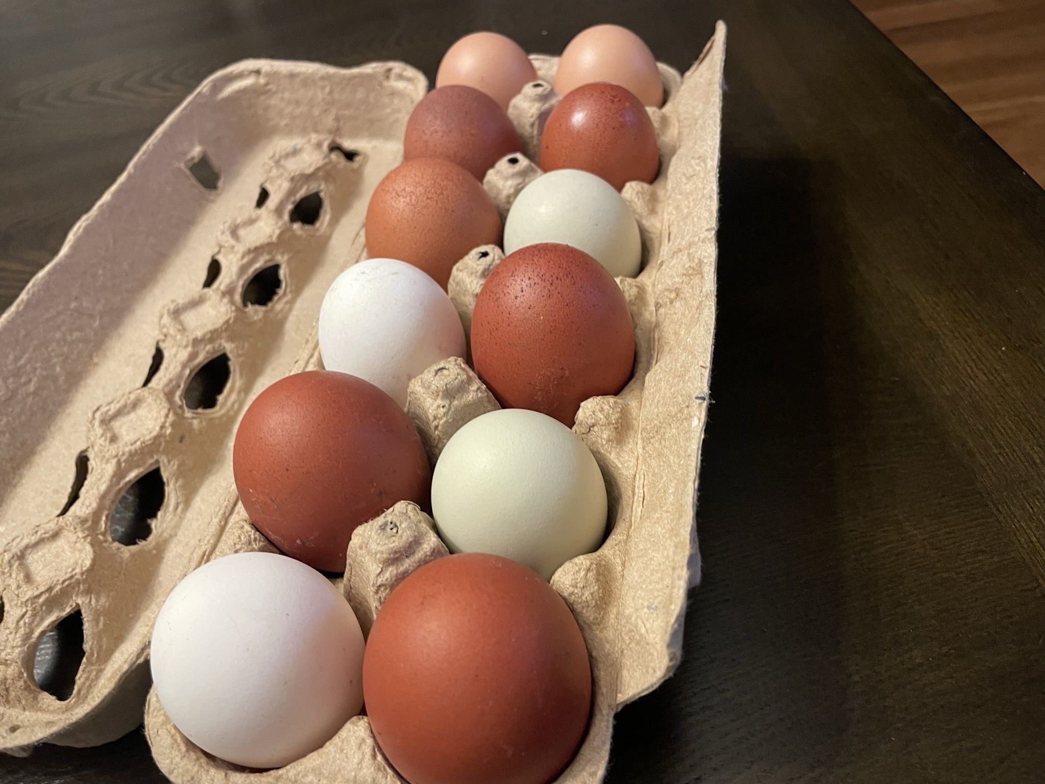 Fresh Eggs