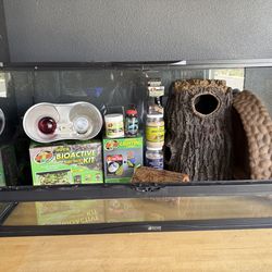 reptile tank bundle