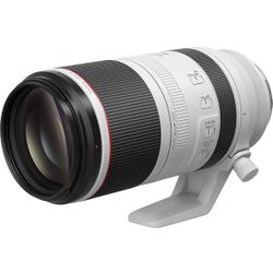 Canon RF100-500mm F4.5-7.1 L IS USM