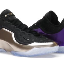 Nike LeBron 23 The Chosen One And One Who Chose Size 11.5